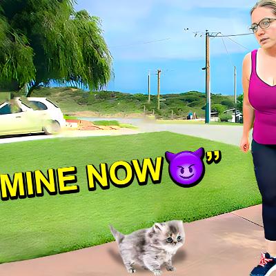 When A Karen Finds A Cat.