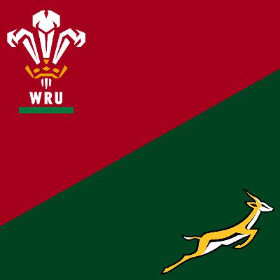 Springbok Rugby Potgooi Episode 6 - Wallis teen die Springbokke