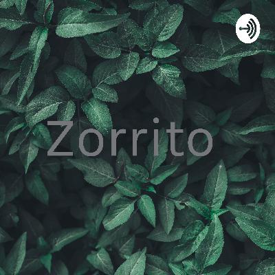 El zorrito