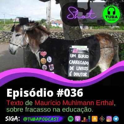 #036 - Leitura de Texto de Maurício Muhlmann Erthal