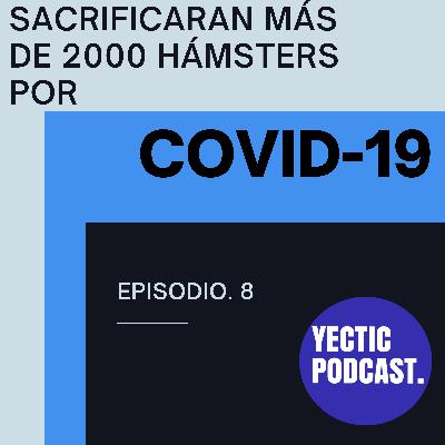 EP. 8 | SACRIFICARAN más de 20 MIL HÁMSTERS por COVID-19 EP. 8 | SACRIFICARAN más de 20 MIL HÁMSTERS por COVID-19