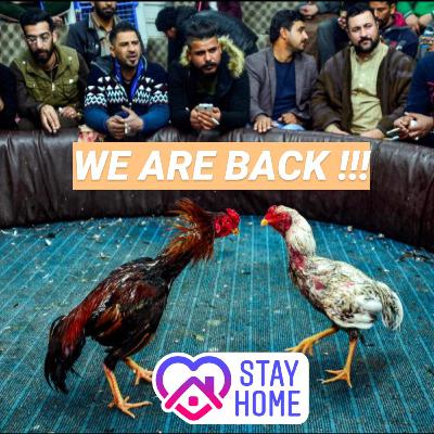 WE ARE BACK !!!