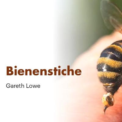 Bienenstiche | Bee Stings - Gareth Lowe Bienenstiche | Bee Stings - Gareth Lowe