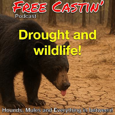 Drought and fishing the ocean!