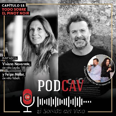 Todo sobre el pinot noir #15