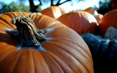 Godfrey the Goblin and the Great Pumpkin Godfrey the Goblin and the Great Pumpkin