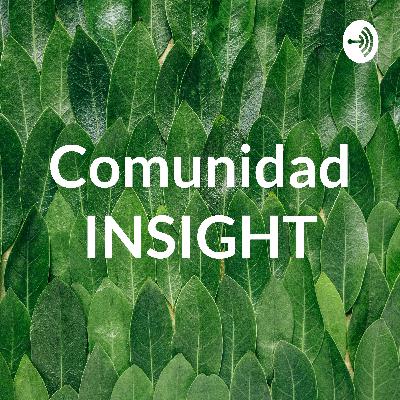 Insight de los UX Insight de los UX