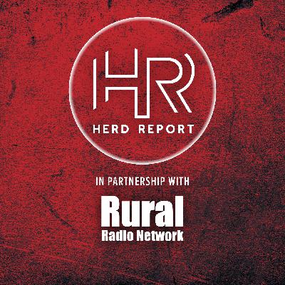 Genetic Opportunity: Rancho Casino Angus & Cox Ranch | March 16 in Purdum, Nebraska