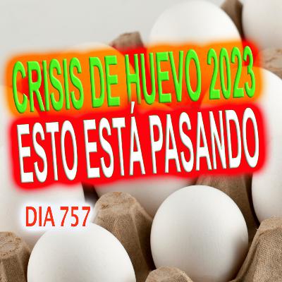 Super Acción: 757 "Crisis de huevo 2023, esto está pasando" Super Acción: 757 "Crisis de huevo 2023, esto está pasando"