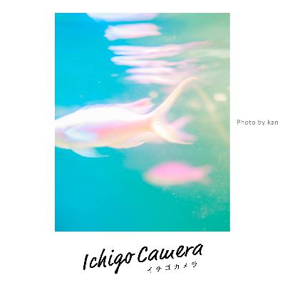 Ep148 お題「ピンク色」の講評（Haruka・薄明）