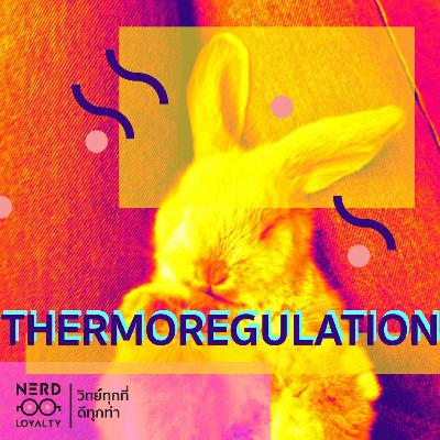 Nerd Loyalty 05 Thermoregulation