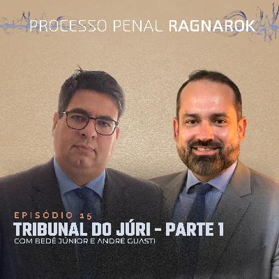 EP 15 - Tribunal do Júri - Parte 1 - Processo Penal Ragnarök
