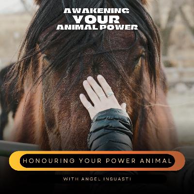 Honouring your Power Animal