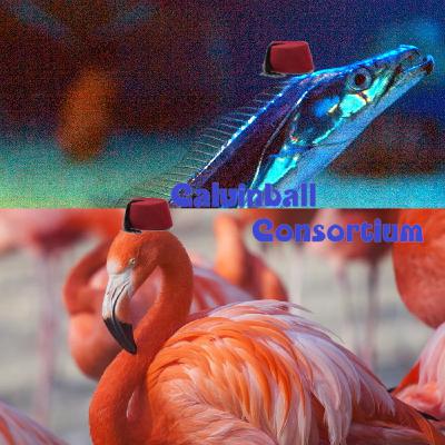 Bestiaire 41 - Le poisson sabre et le flamant rose