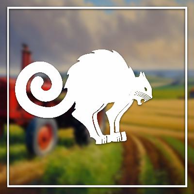 🌾 Amikor csak a gyökerek szántanak; vendég: Kökény Attila | Fekete Technológia #37