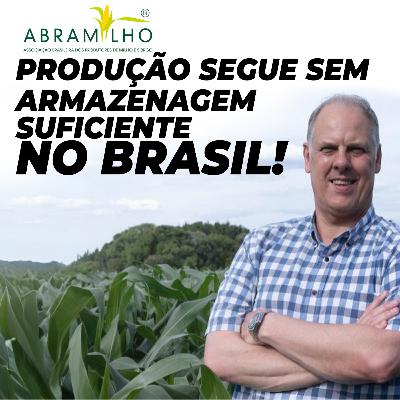 ABRAMILHO: PRODUÇÃO SEGUE SEM ARMAZENAGEM SUFICIENTE NO BRASIL! ABRAMILHO: PRODUÇÃO SEGUE SEM ARMAZENAGEM SUFICIENTE NO BRASIL!