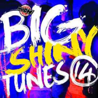 EPISODE 014 - BIG SHINY TUNES 14 (2009) - ALL YOU DID WAS CHAD MY LIFE (SEASON 1 FINALE)