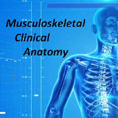Medial Knee, Episode 3