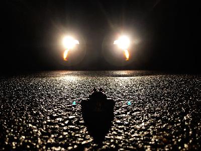 EPISODE 1 : AMPHIBIANS ON THE MOVE
