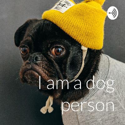 Something about design and dog