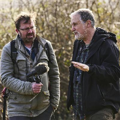 346. A quest to find Britain's only venomous snake, the adder 346. A quest to find Britain's only venomous snake, the adder