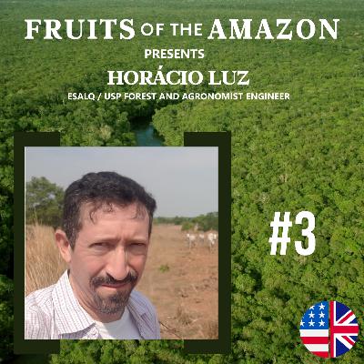 Horácio Luz - ESALQ / USP Forest Engineer and Agronomist
