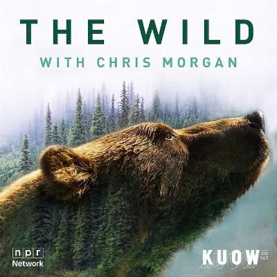 Welcome back to season 7 of THE WILD