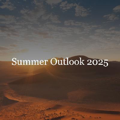 Summer Outlook 2025 // AFIG