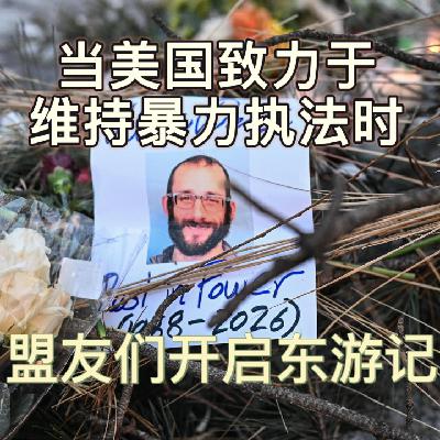 美国致力于维持ICE暴力执法之际,欧洲盟友开启东游记 美国致力于维持ICE暴力执法之际,欧洲盟友开启东游记