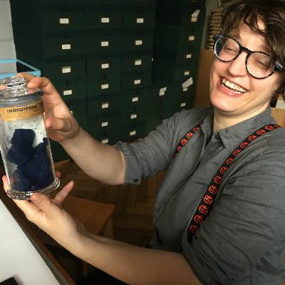 E4: An Unnatural Obsession With Bottles with Linnea Kuglitsch