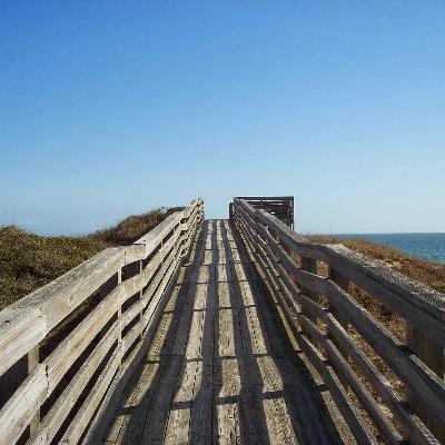 The Path; John 1 The Path; John 1