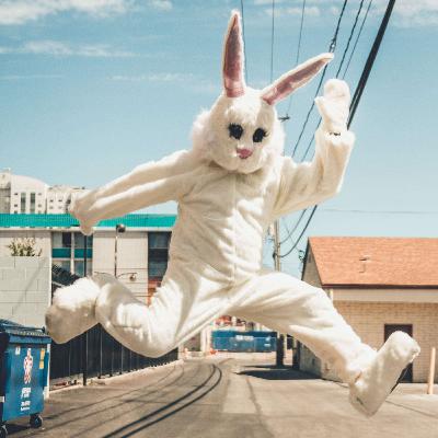 The Missing Rabbit The Missing Rabbit