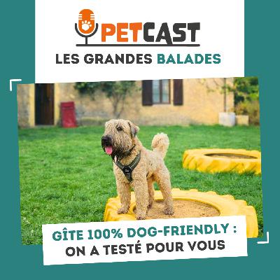 Gîte 100% dog-friendly : On a testé pour vous !