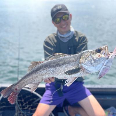 東京湾のサワラ、チヌトップ、シーバスのデカトップゲームに行ってきた話