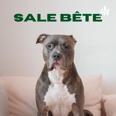 Sale Bête  (Trailer)