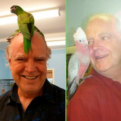 Bird care- from Avian specialist Dr Ross Perry