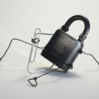 13. ¿Porqué se puede presentar un autoabuso o autoviolacion en la webcam?