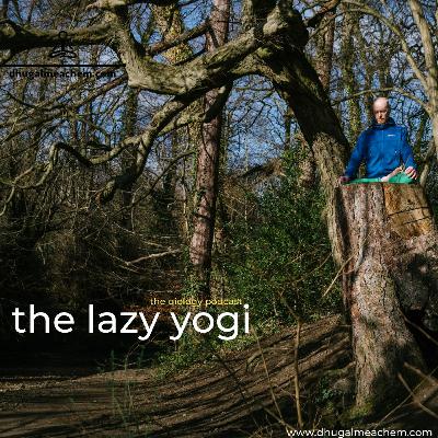 35. the lazy yogi 35. the lazy yogi