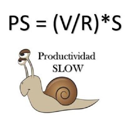 2.Definicion de Productividad Slow 2.Definicion de Productividad Slow
