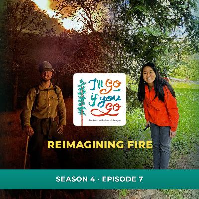 Reimagining Fire