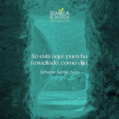 No está aquí, pues ha resucitado, como dijo.