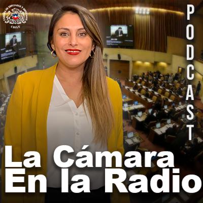 La Cámara en la Radio, El Podcast - Edición 2 - Semana del 27 de Octubre de 2025 La Cámara en la Radio, El Podcast - Edición 2 - Semana del 27 de Octubre de 2025