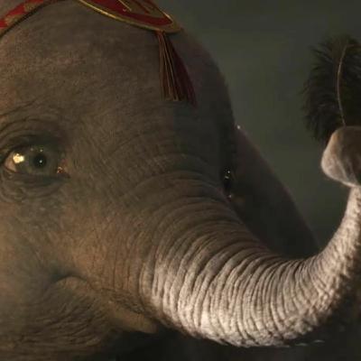 Dumbo