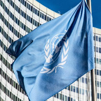 Cuando Putin invade Ucrania, ¿para qué sirve la ONU? Cuando Putin invade Ucrania, ¿para qué sirve la ONU?
