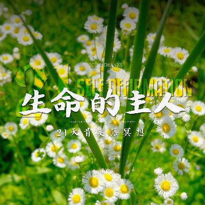 生命的主人|21天肯定语冥想|灵气能量注入,自我疗愈启动,全面锚定自身的力量 生命的主人|21天肯定语冥想|灵气能量注入,自我疗愈启动,全面锚定自身的力量