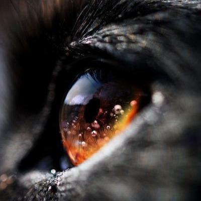 LISEZ CES LIVRES LISEZ CES LIVRES