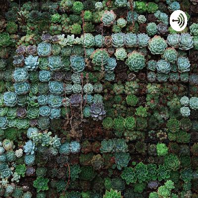 Estigmatización social ante el CIVID-19 Estigmatización social ante el CIVID-19