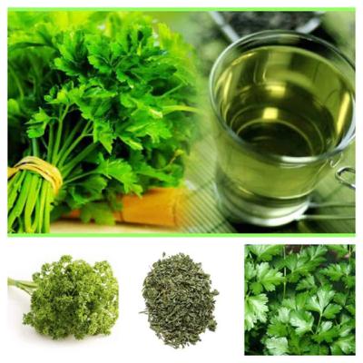 El perejil planta medicinal y sus propiedades.