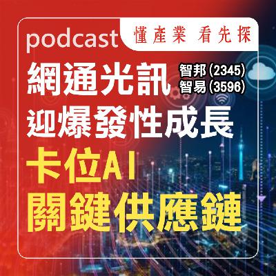 智邦(2345)卡位AI關鍵供應鏈，營運三級跳。