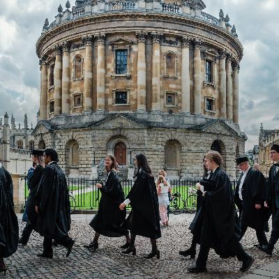 Is AI really stealing graduate jobs?